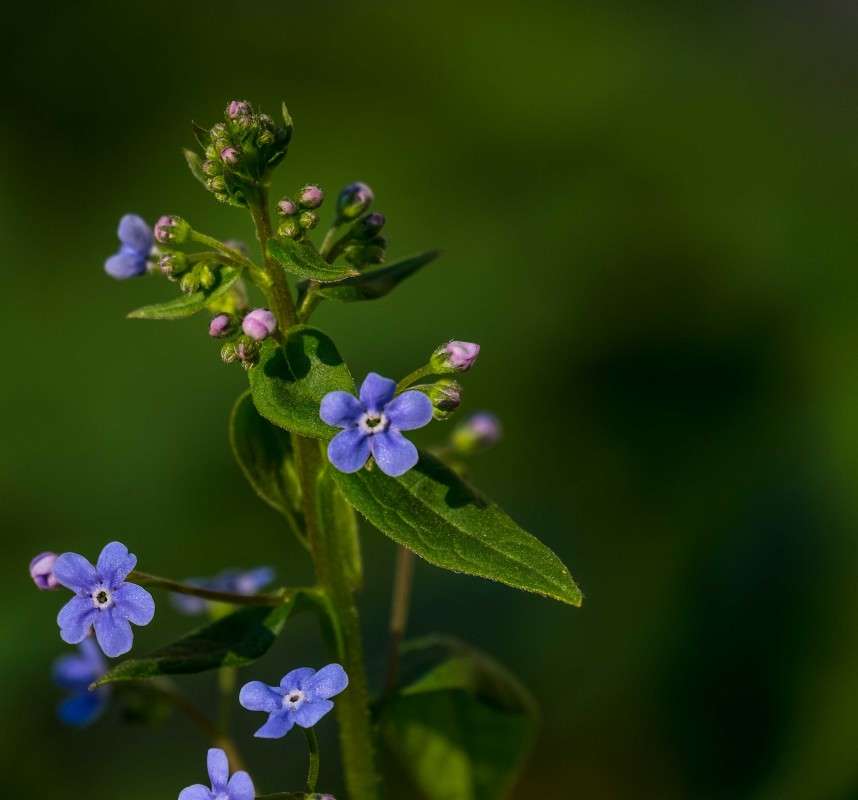 ......... ����� ������  �� PhotoGeek.ru #������ ��� �������