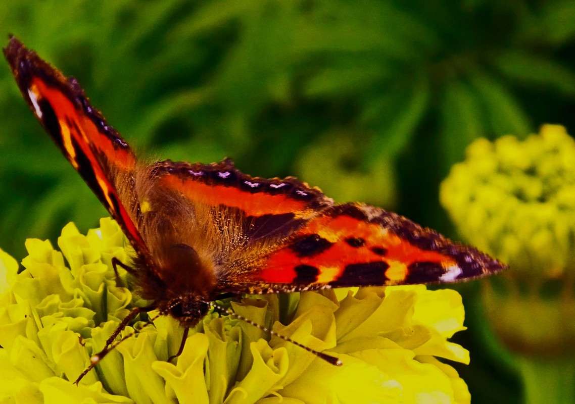 ������� �3 �������2 ����� ������  �� PhotoGeek.ru #�������� ���