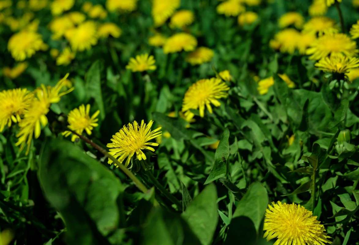 ���� �����������... ����� ������  �� PhotoGeek.ru #������ ��� �������