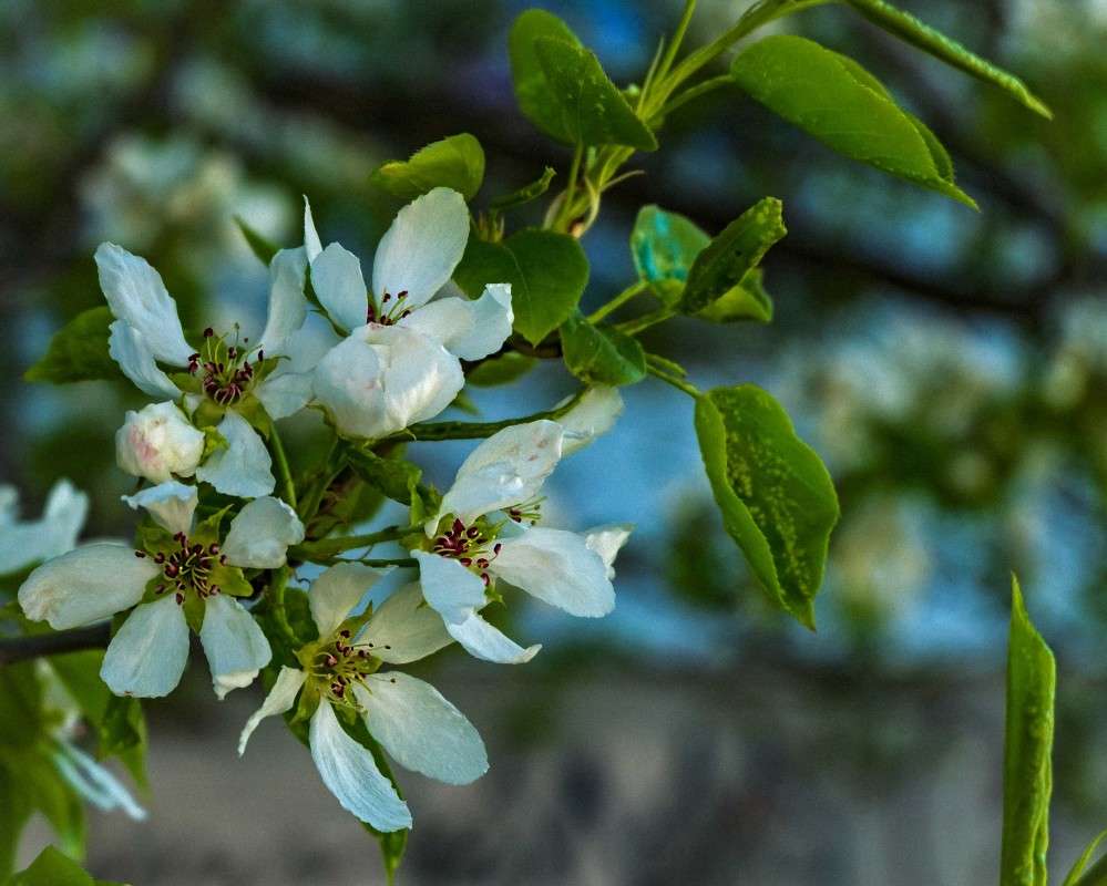 ��������!!! ����� ������  �� PhotoGeek.ru #������ ��� �������