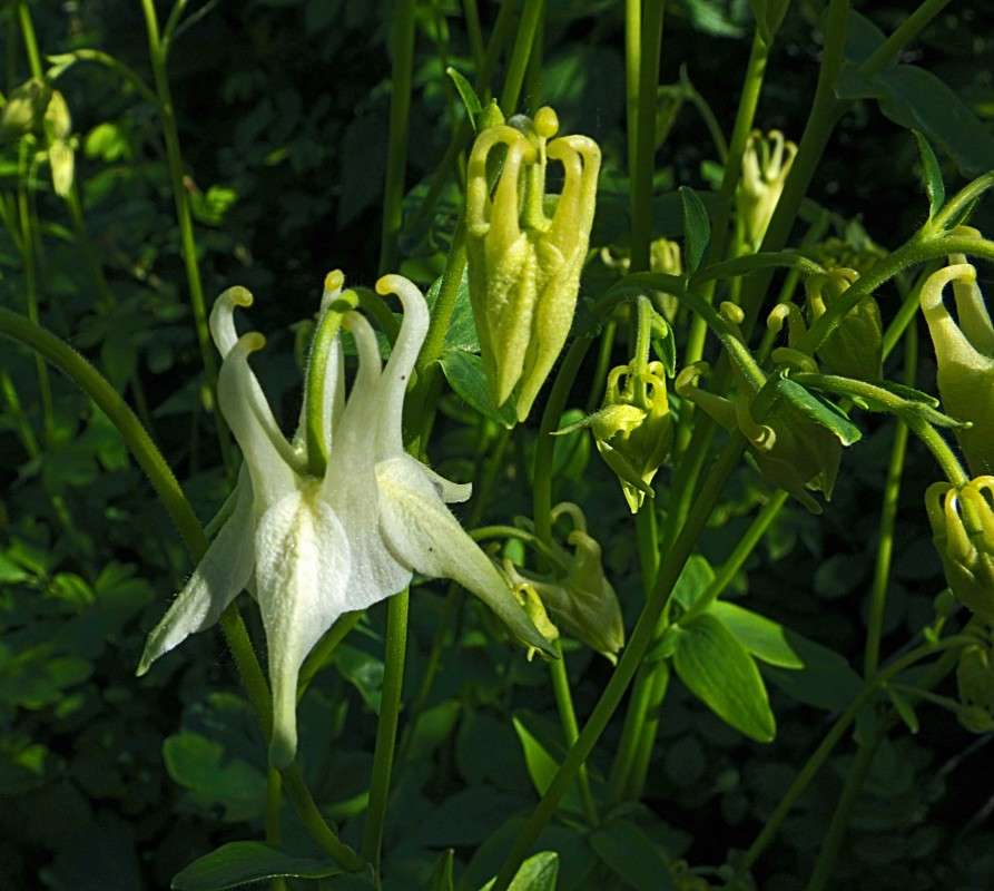 ....... ����� ������  �� PhotoGeek.ru #������ ��� �������