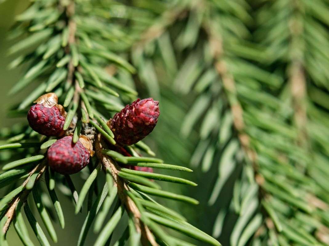 ����� -����� ����� ������  �� PhotoGeek.ru #������ ��� �������