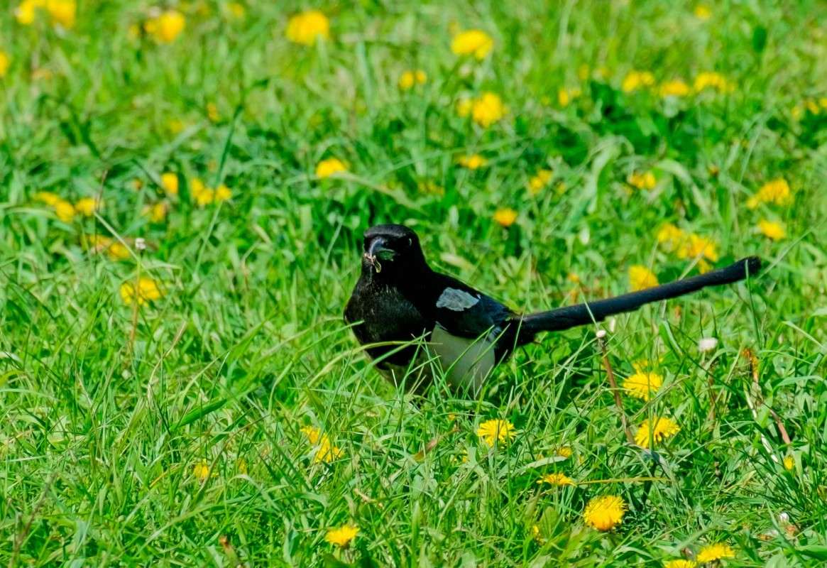 ������ � ����������� ����� ������  �� PhotoGeek.ru #�������� ���