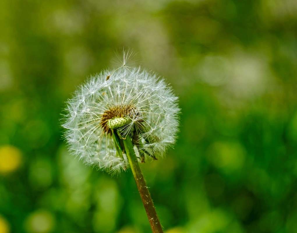 � ����� �����! ����� ������  �� PhotoGeek.ru #������ ��� �������