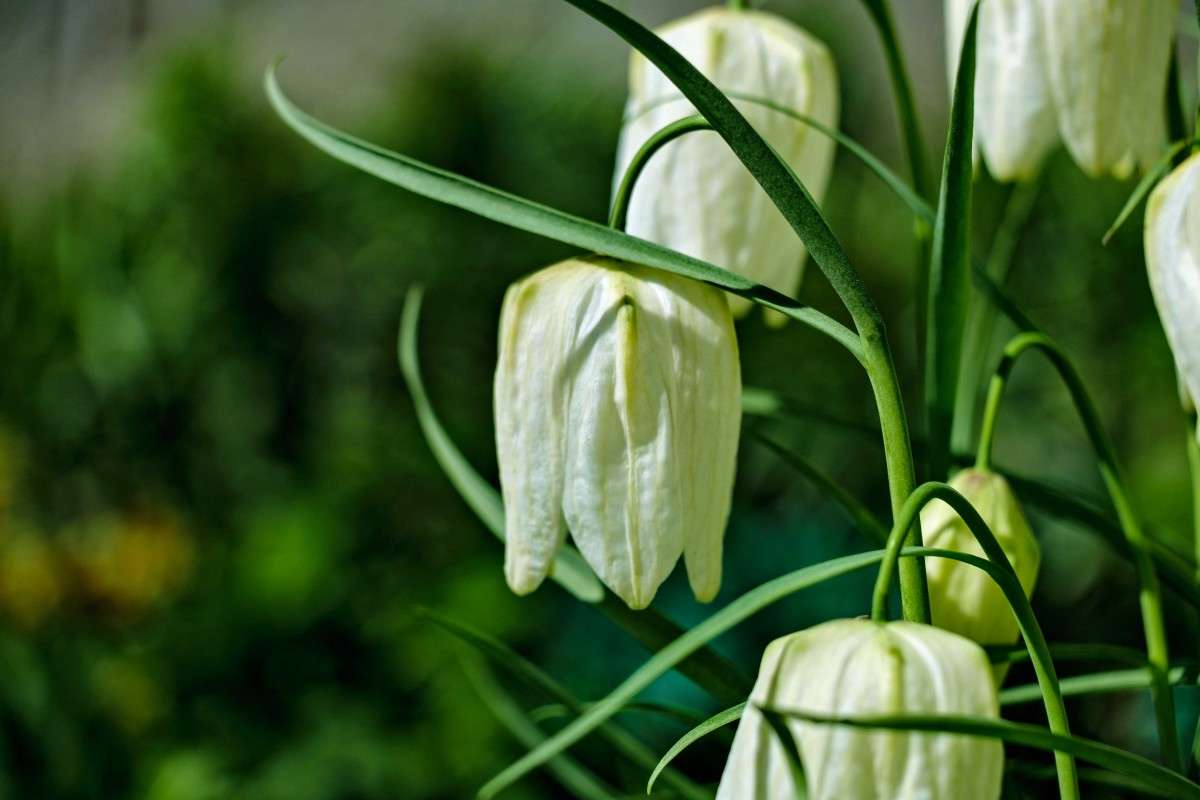 ........ ����� ������  �� PhotoGeek.ru #������ ��� �������