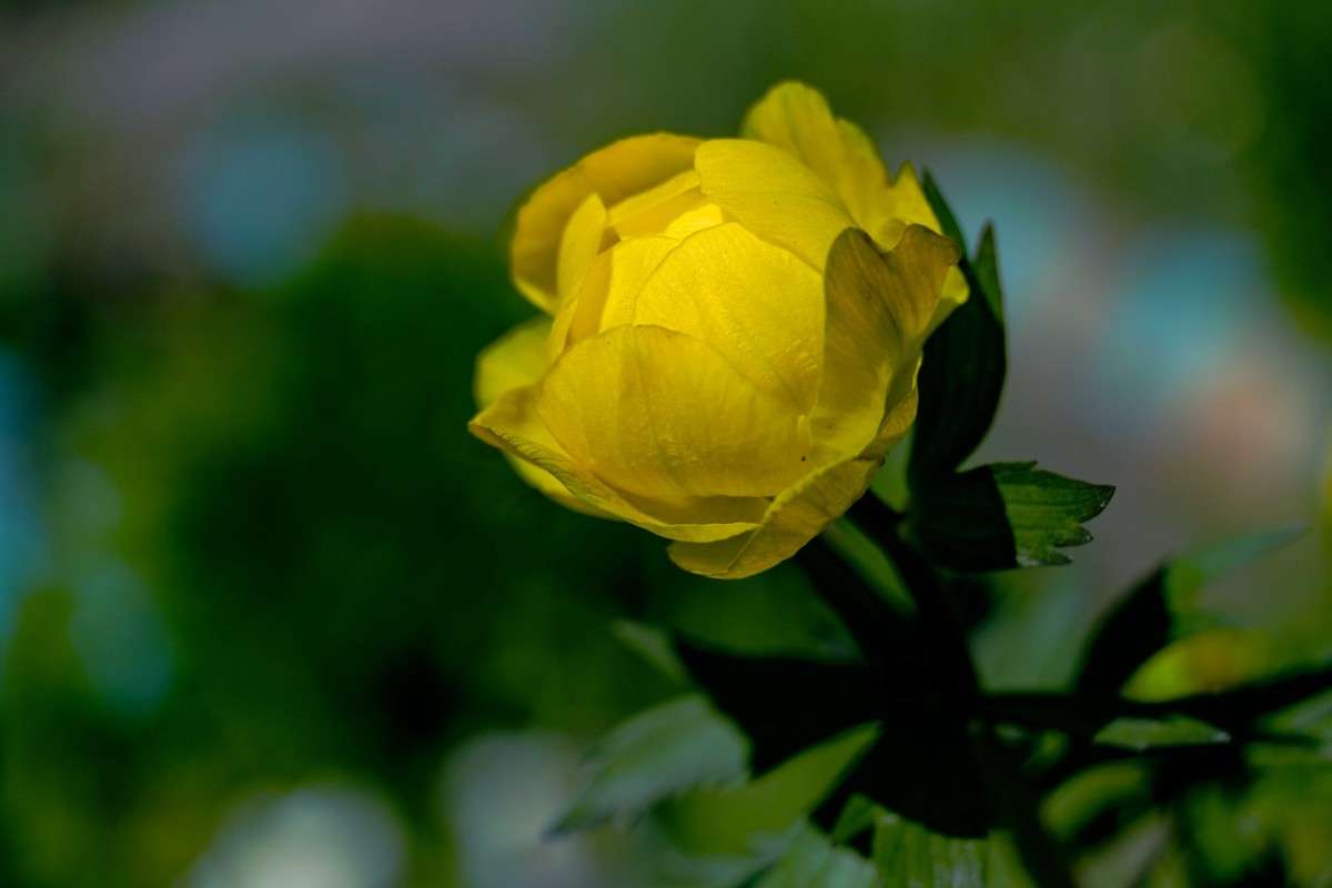 ��������..... ����� ������  �� PhotoGeek.ru #������ ��� �������