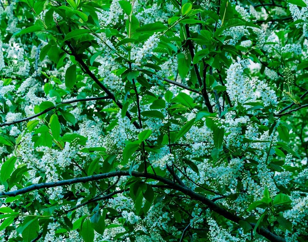 ������� � �����... ����� ������  �� PhotoGeek.ru #������ ��� �������