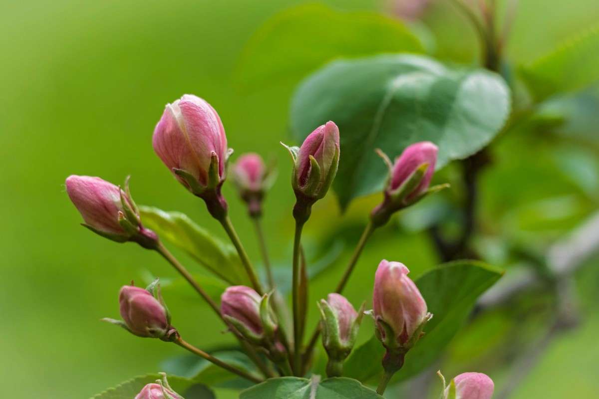 ����� .... ����� ������  �� PhotoGeek.ru #������ ��� �������