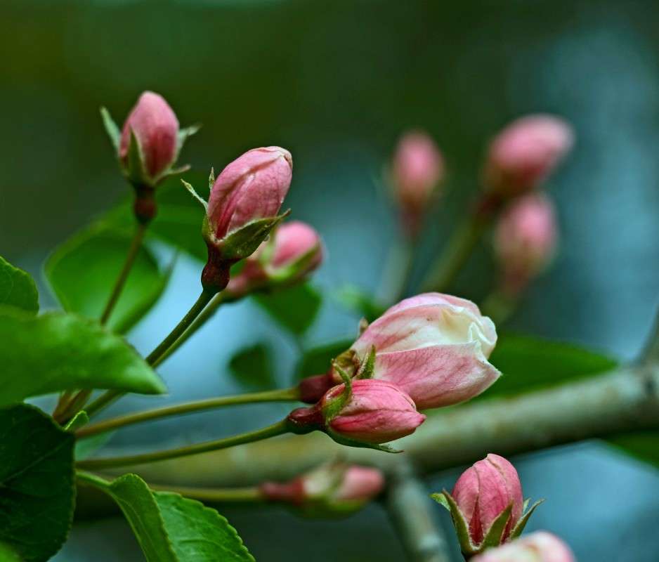 ����� 2 ����� ������  �� PhotoGeek.ru #������ ��� �������