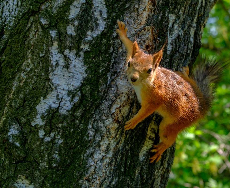 ������ �� ���� ������������? ����� ������  �� PhotoGeek.ru #�������� ���