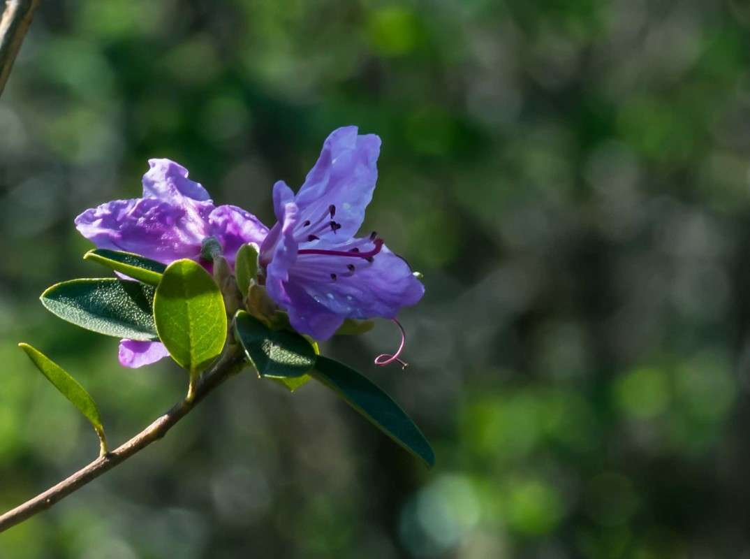 ��������.... ����� ������  �� PhotoGeek.ru #������ ��� �������