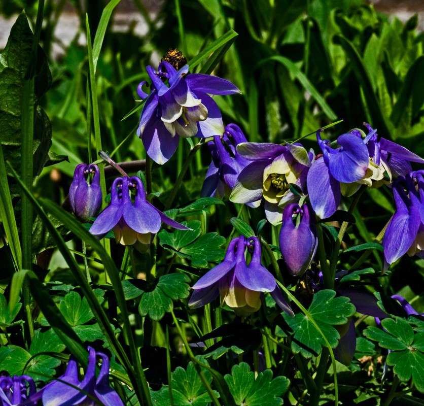 .... ����� ������  �� PhotoGeek.ru #������ ��� �������