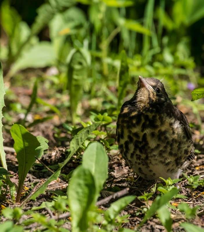 ���� �� ���? ����� ������  �� PhotoGeek.ru #�������� ���