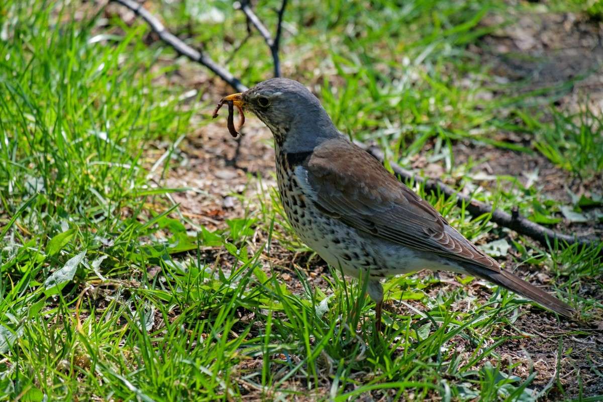 � �����.... ����� ������  �� PhotoGeek.ru #�������� ���