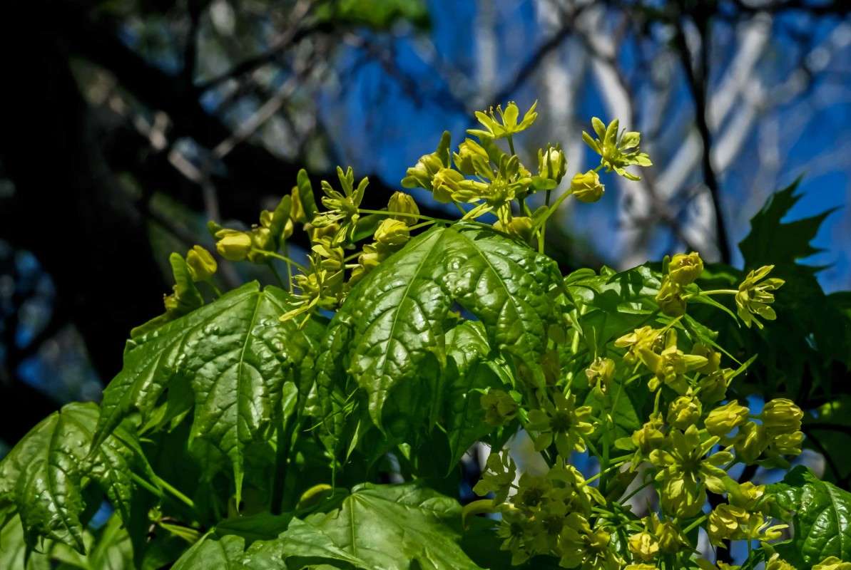 � ����� ���... ����� ������  �� PhotoGeek.ru #������ ��� ������� #����� ��������������