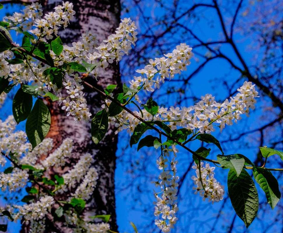 ����� ����! ����� ������  �� PhotoGeek.ru #������ ��� ������� #����� ��������������