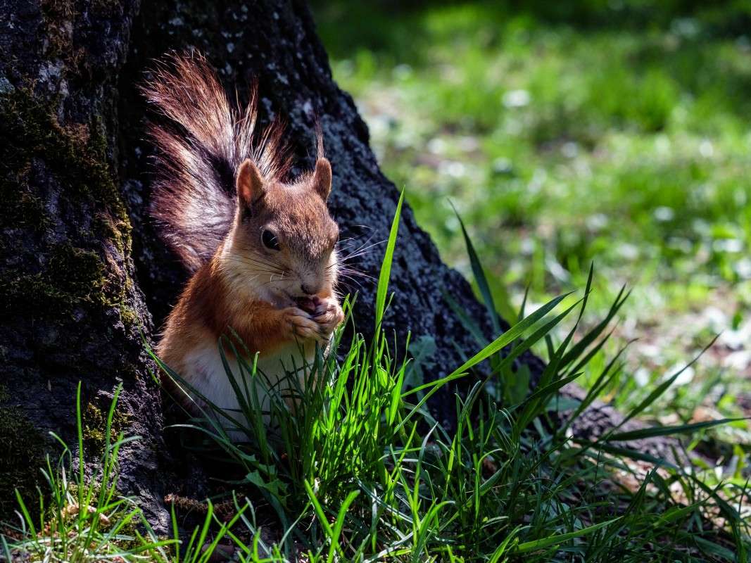 part 2���� ����� ������������... ����� ������  �� PhotoGeek.ru #�������� ���