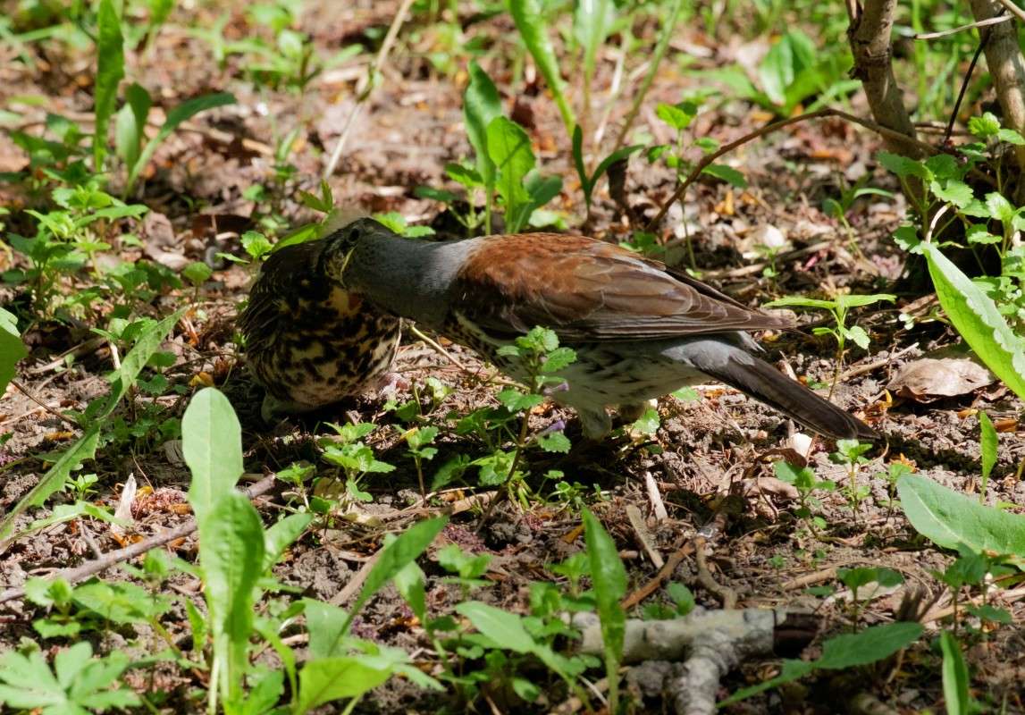 Part 2 ���� ����� ����.... ����� ������  �� PhotoGeek.ru #�������� ���