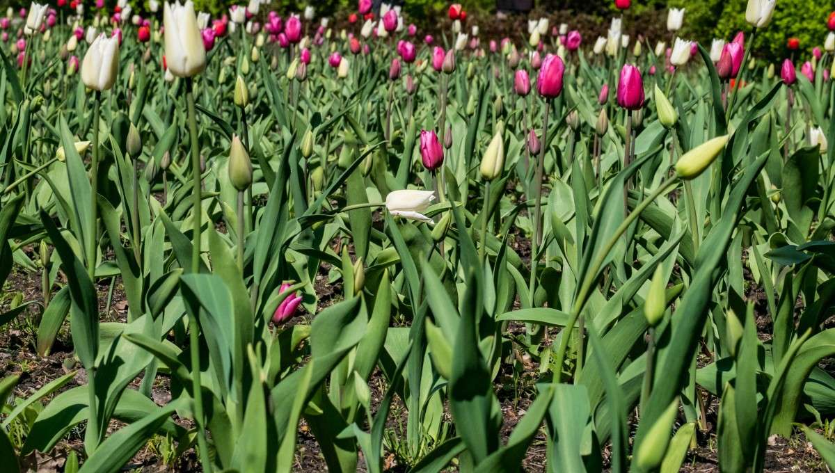 �����������..... ����� ������  �� PhotoGeek.ru #������ ��� �������