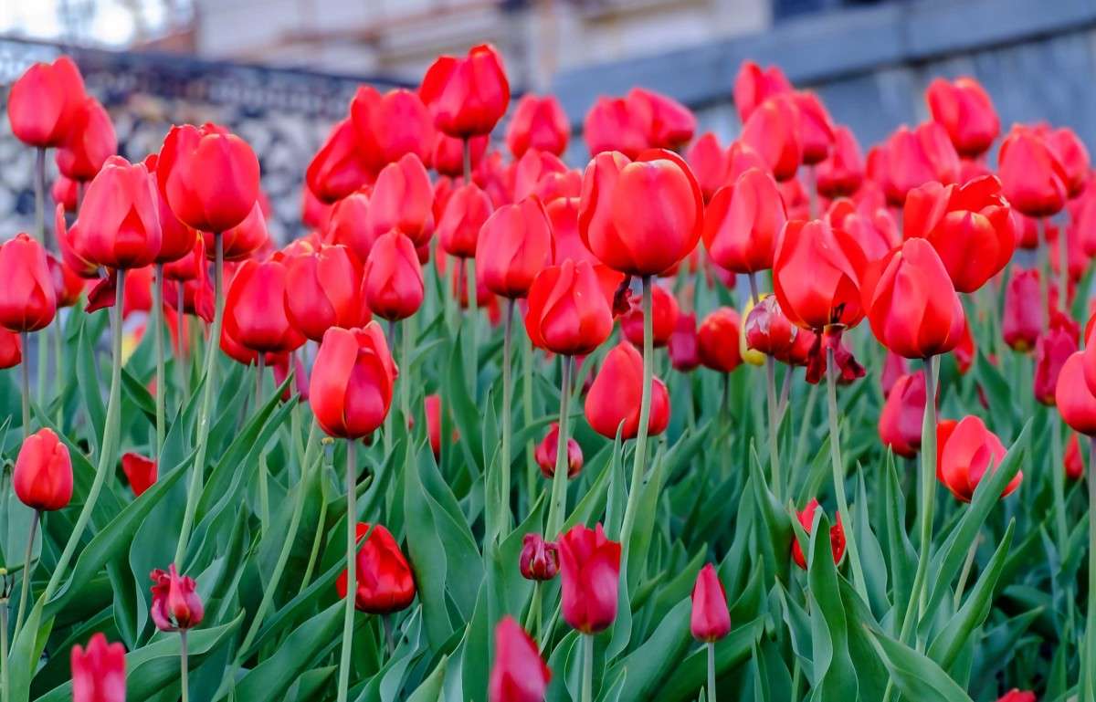 ...... ����� ������  �� PhotoGeek.ru #������ ��� �������