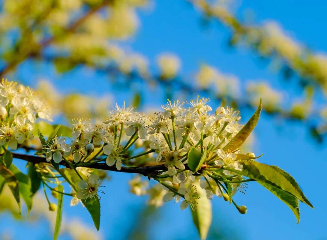 .... ����� ������  �� PhotoGeek.ru #������ ��� �������