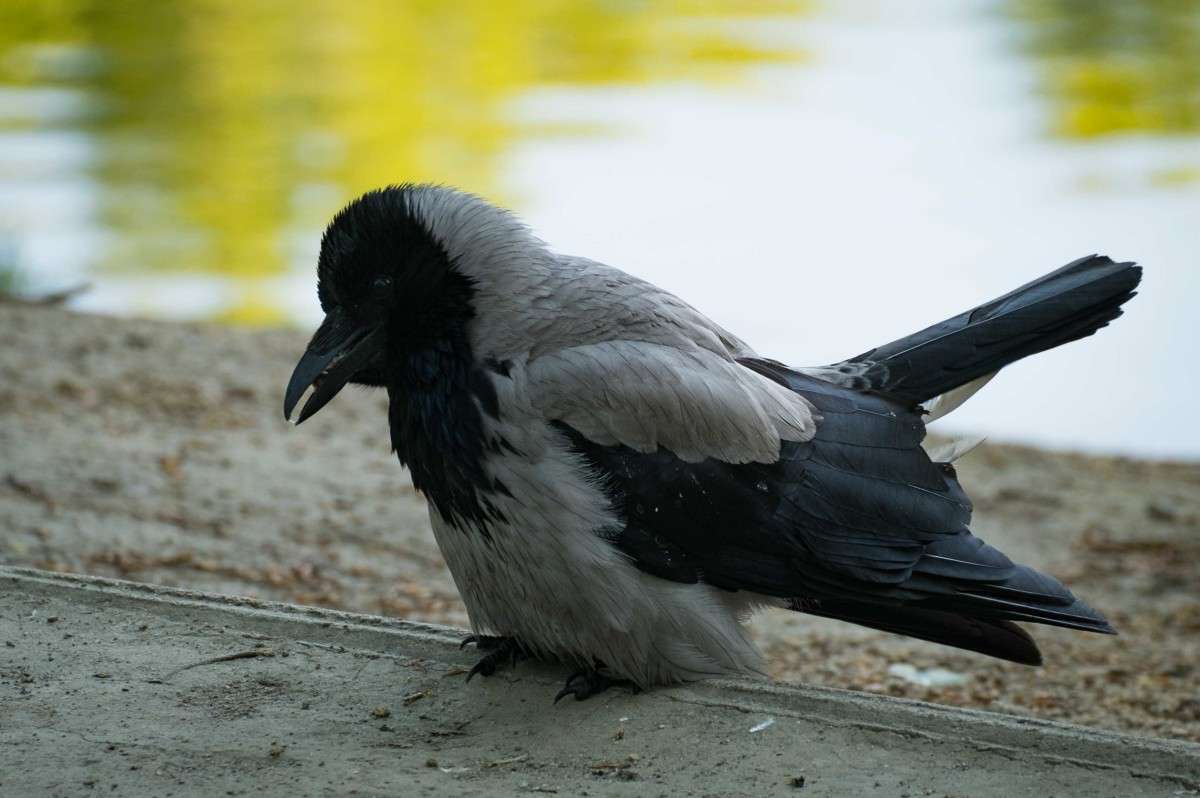 ��������� ����� ������  �� PhotoGeek.ru #�������� ���