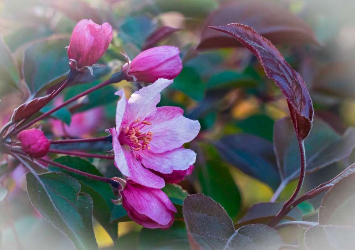 � � ��� ����� ������.. ����� ������  �� PhotoGeek.ru #������ ��� �������