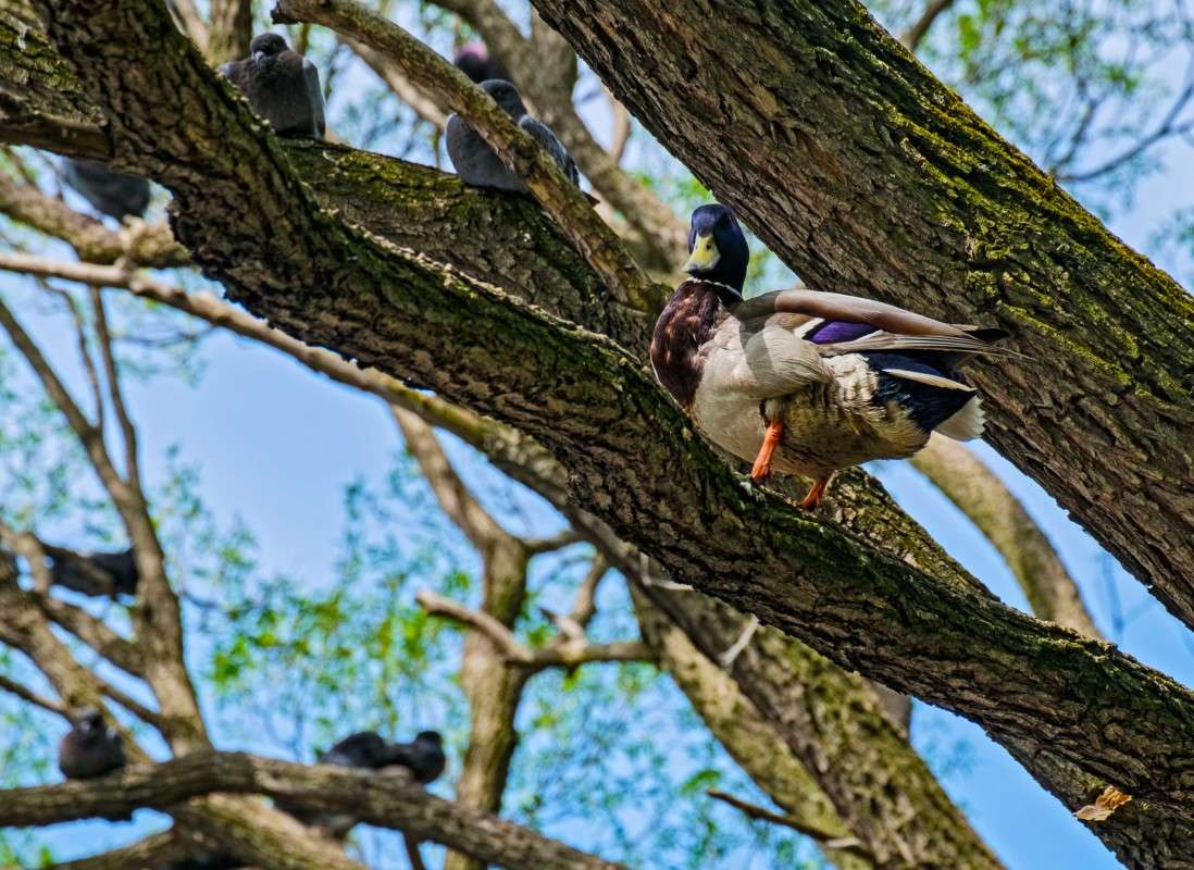 ��� ������ ���� ���� ������.... ����� ������  �� PhotoGeek.ru #�������� ���