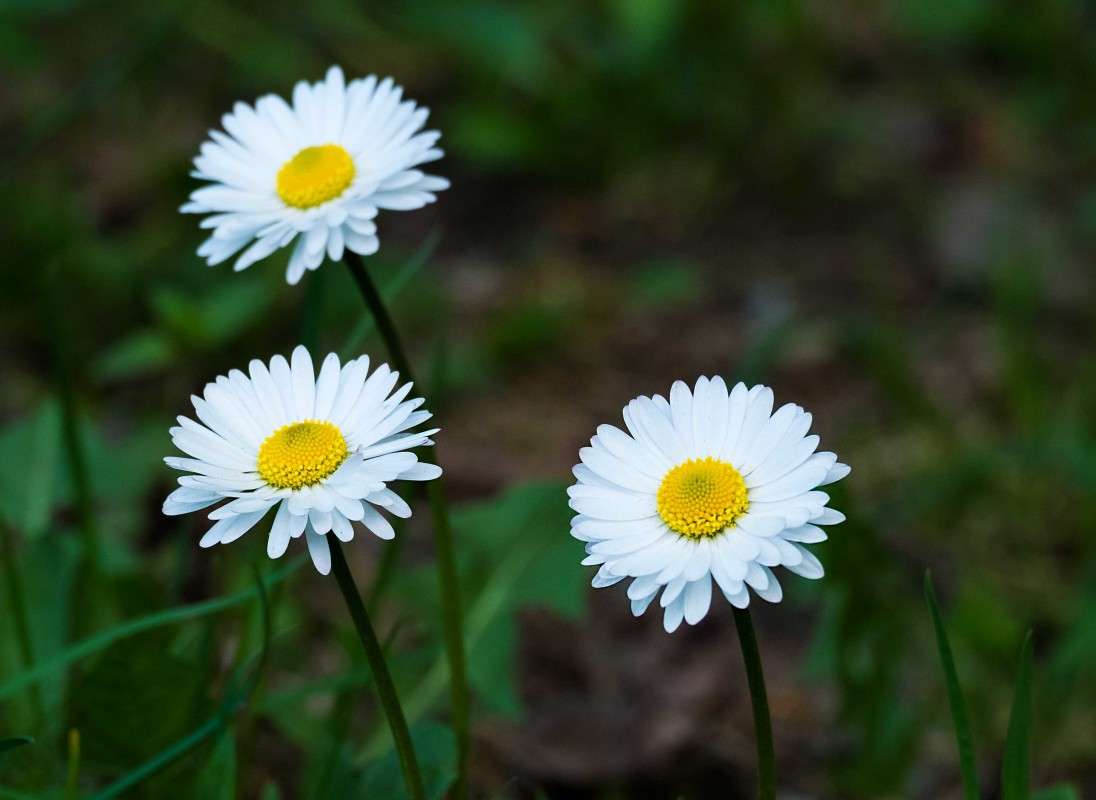 ������ �������.... ����� ������  �� PhotoGeek.ru #������ ��� �������