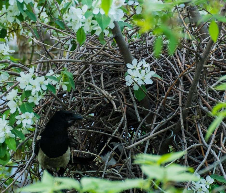 ���� ������ � �����... ����� ������  �� PhotoGeek.ru #�������� ��� #����� ��� ��� ���������