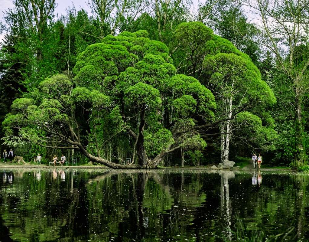 ����� ������(���������� �������) ����� ������  �� PhotoGeek.ru #������ ��� �������