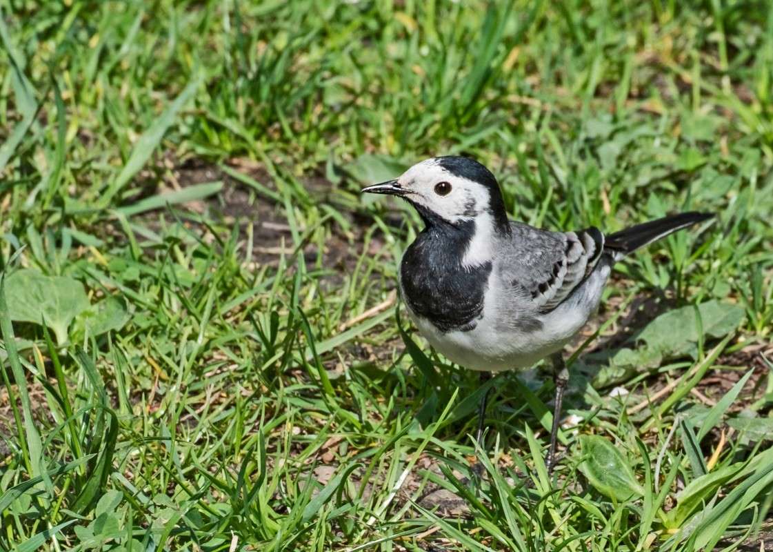 ������������.. ����� ������  �� PhotoGeek.ru #�������� ��� #����� ��� ��� ���������