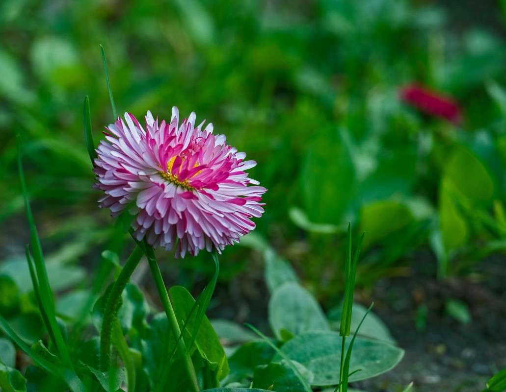 ������ �������� ������... ����� ������  �� PhotoGeek.ru #������ ��� ������� #����� ��������������