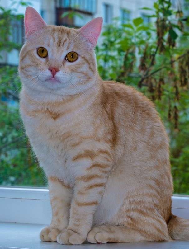 ���- ��������.. ����� ������  �� PhotoGeek.ru #��������� ���������� #�������� ���