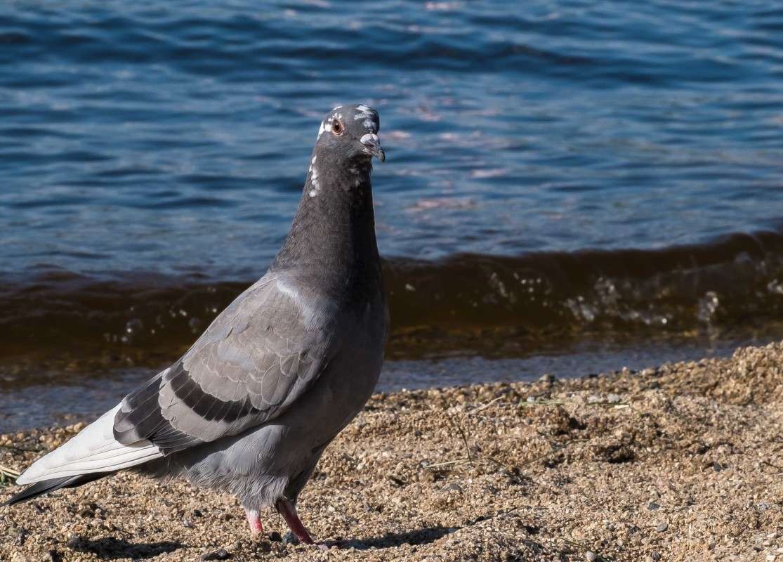 ������ ������.... ����� ������  �� PhotoGeek.ru #�������� ��� #����� ��� ��� ���������