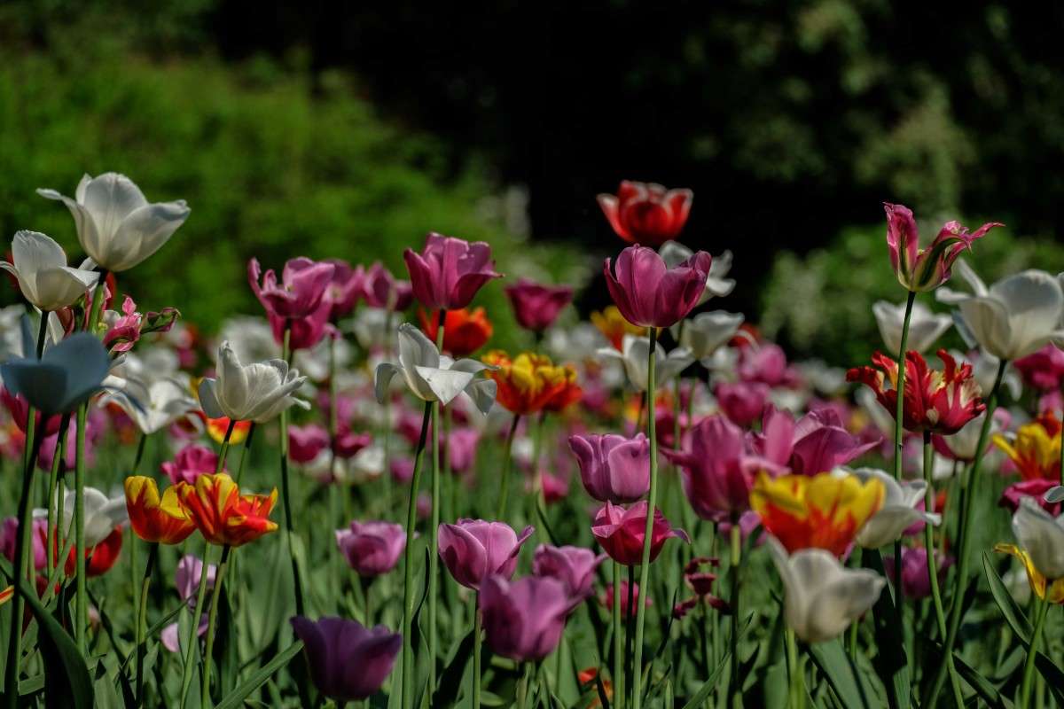 �������������� ����� ������  �� PhotoGeek.ru #������ ��� �������