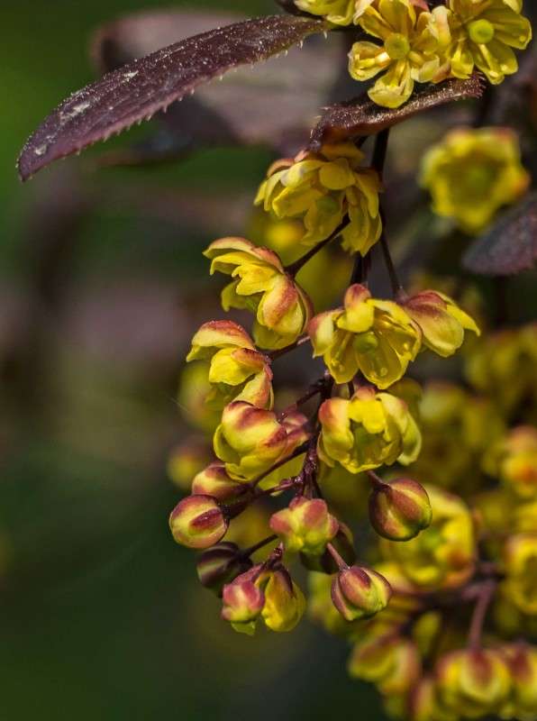 ...... ����� ������  �� PhotoGeek.ru #������ ��� �������