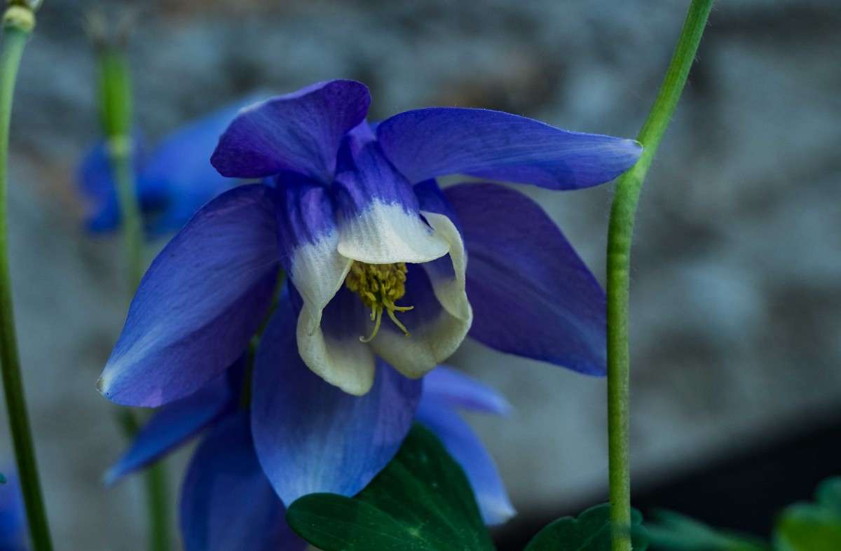 ........ ����� ������  �� PhotoGeek.ru #������ ��� �������