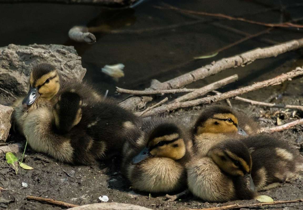 ��������� ����� ������  �� PhotoGeek.ru #�������� ���