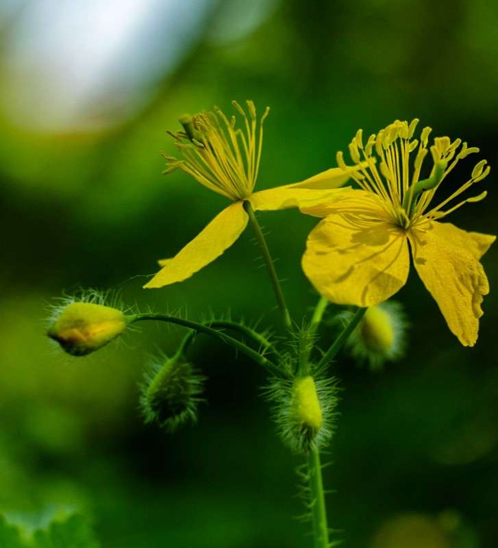 ...... ����� ������  �� PhotoGeek.ru #������ ��� �������