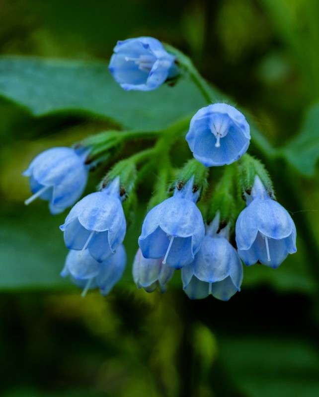 .......... ����� ������  �� PhotoGeek.ru #������ ��� �������