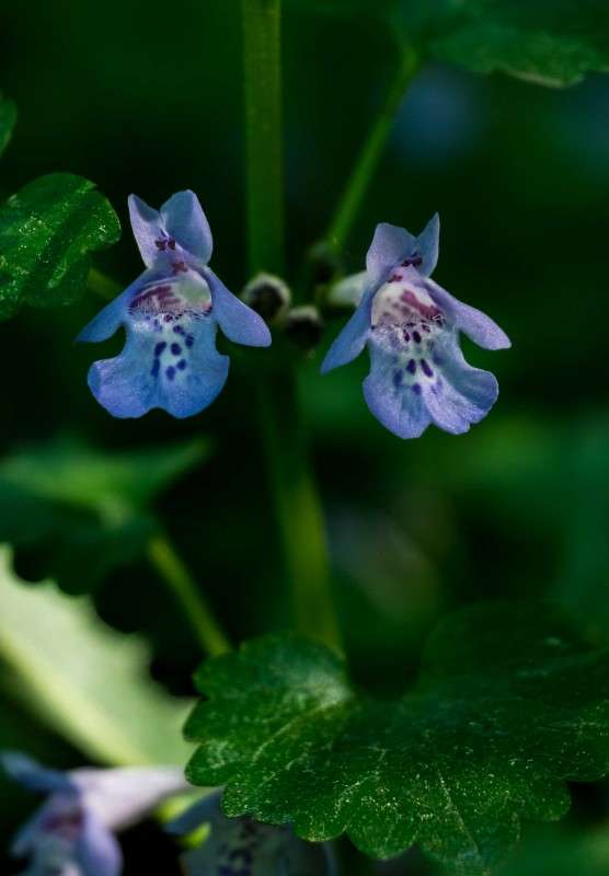 ...... ����� ������  �� PhotoGeek.ru #������ ��� �������