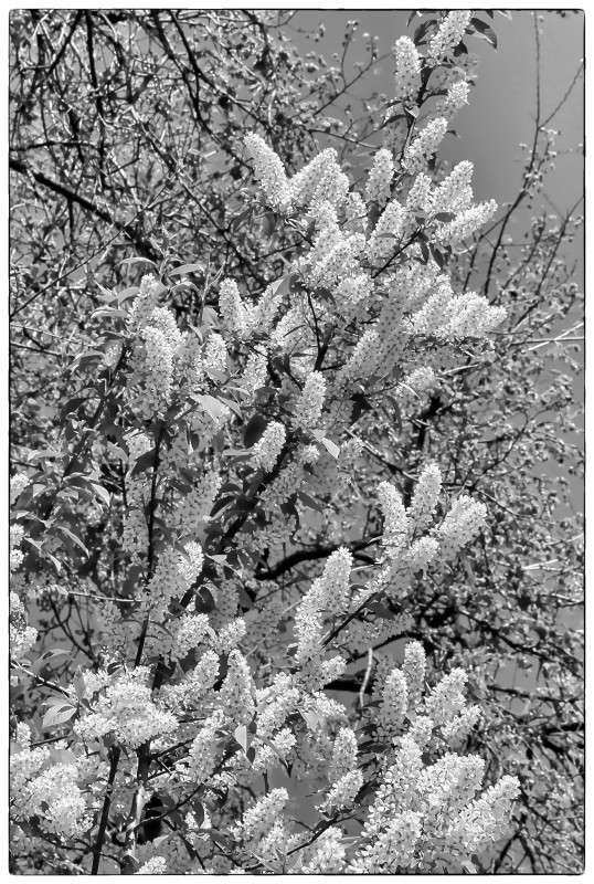 ������� ����� ������  �� PhotoGeek.ru #������ ��� ������� #�����-�����