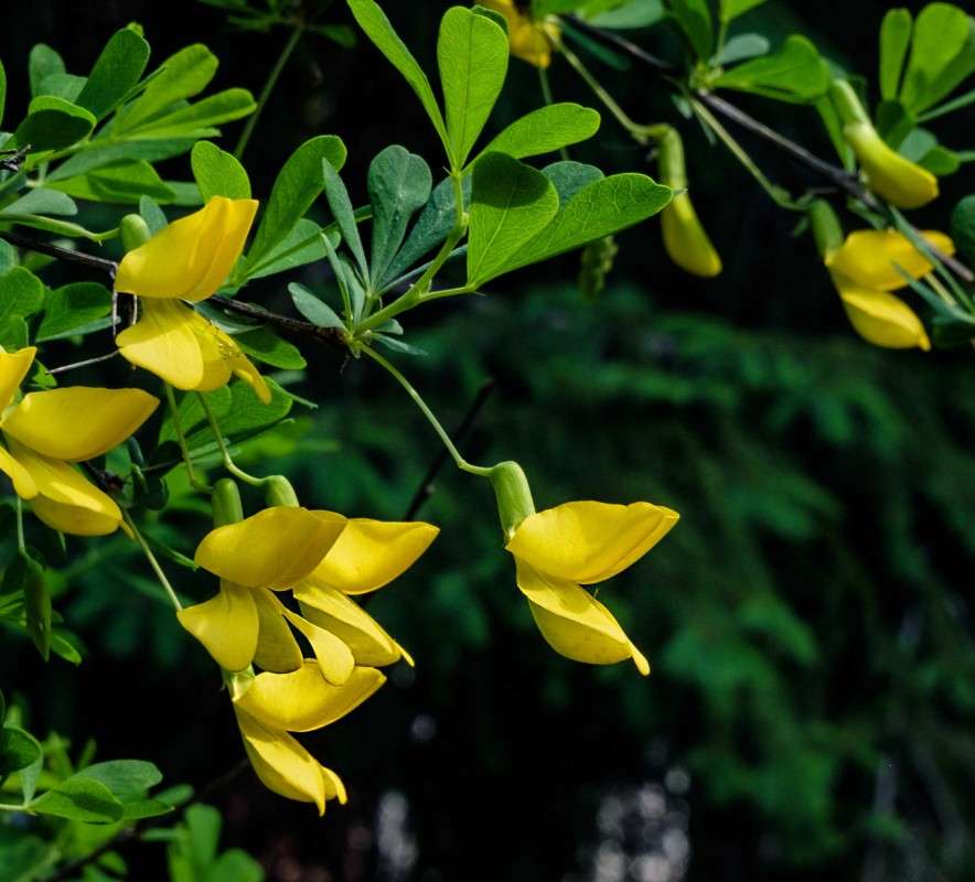 .... ����� ������  �� PhotoGeek.ru #������ ��� ������� #����� ��������������