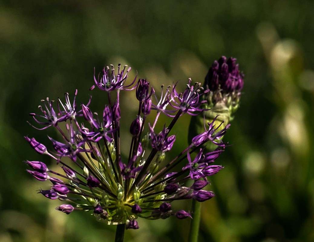 ... ����� ������  �� PhotoGeek.ru #������ ��� ������� #����� ��������������