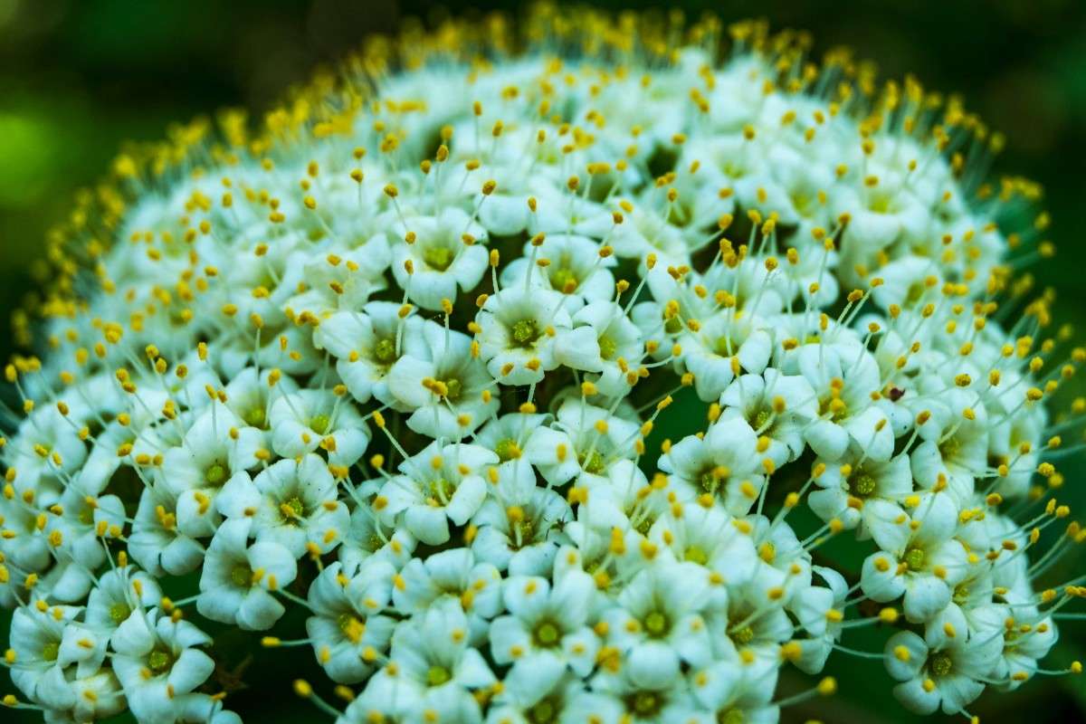 ... ����� ������  �� PhotoGeek.ru #������ ��� ������� #����� ��������������