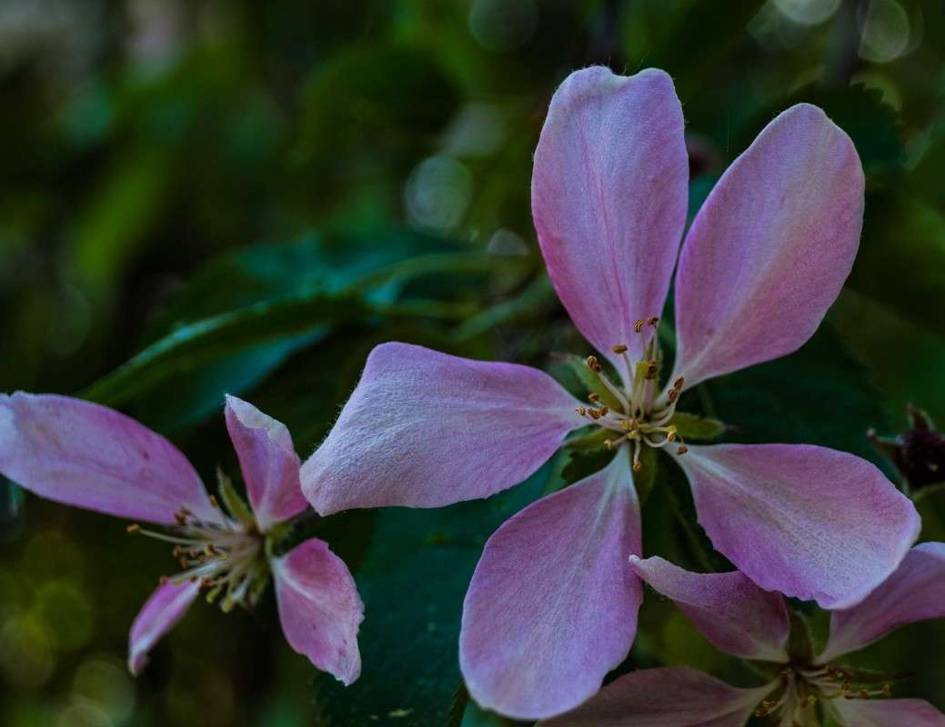 ������ � �����.. ����� ������  �� PhotoGeek.ru #������ ��� ������� #����� ��������������