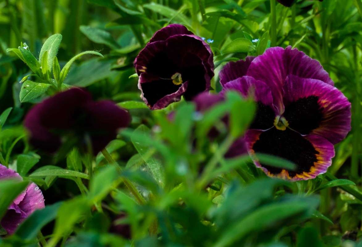 ������� ������.. ����� ������  �� PhotoGeek.ru #������ ��� ������� #����� ��������������