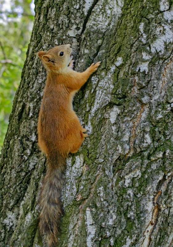 ������ ���-������! ����� ������  �� PhotoGeek.ru #�������� ��� #����� ��� ��� ���������