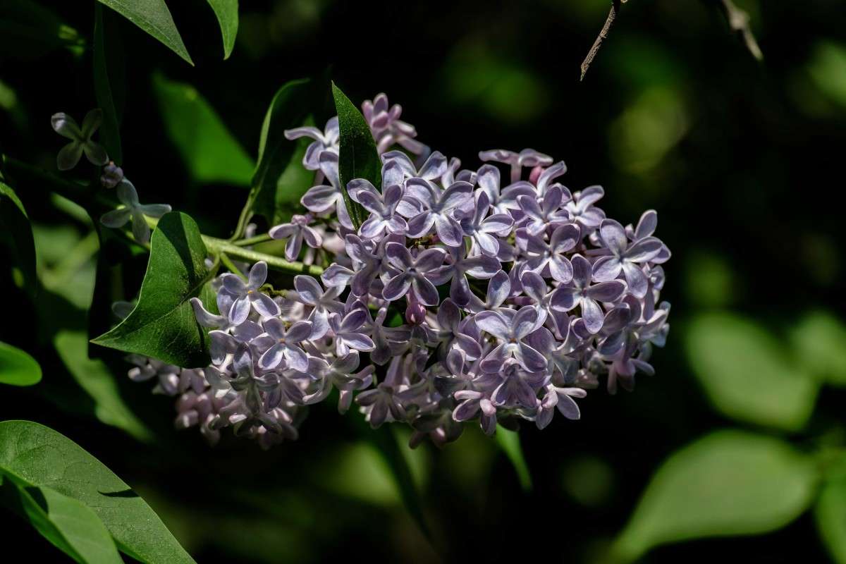 ������ ������... ����� ������  �� PhotoGeek.ru #������ ��� ������� #����� ��������������